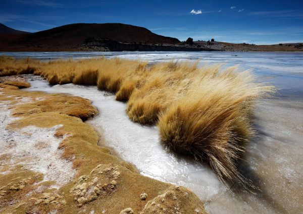 Laguna Qara AR 0736 102