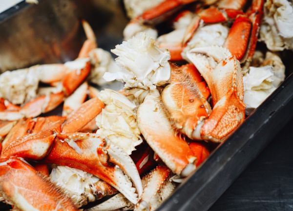 Marie france latour 458412 unsplash