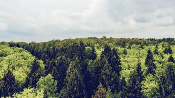 Ecologische bestemming slovenia