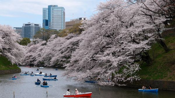 Yoyogi Park Tokio