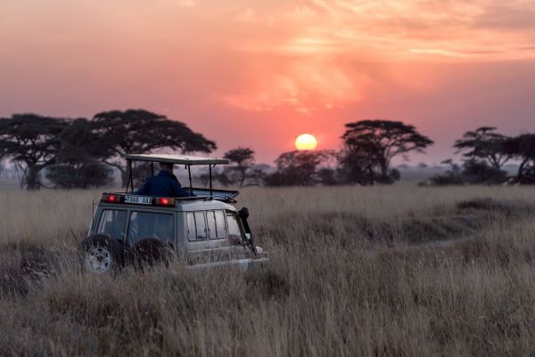 Safari in kenia