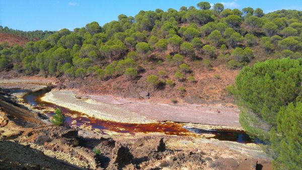 Wonderlijke natuurfenomenen 07