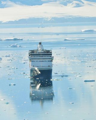 Expeditiecruises naar ongerepte wildernissen