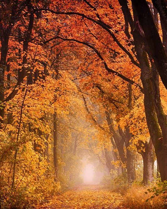 Mooiste bestemmingen citytrips stedentrips voor het najaar