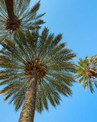 Eindeloos genieten in Fiji