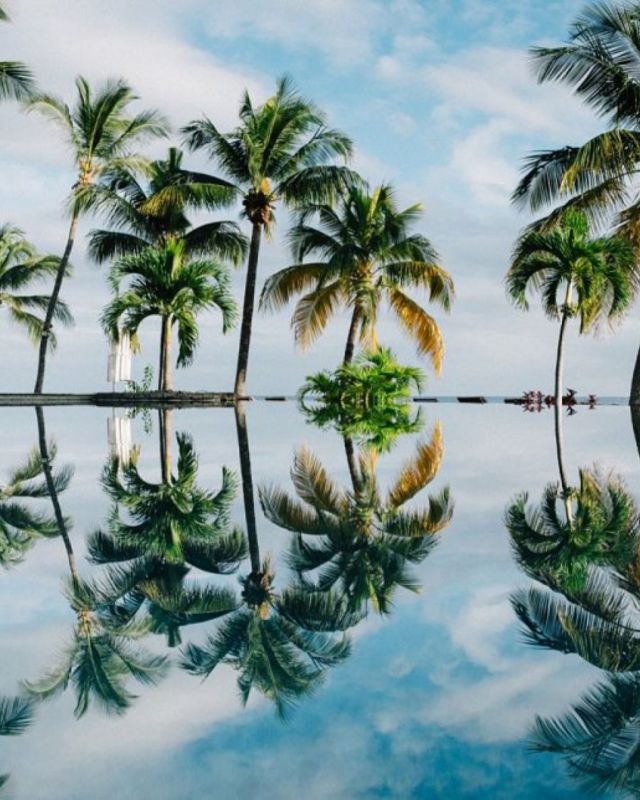 Mauritius ontdekken voor Belgen