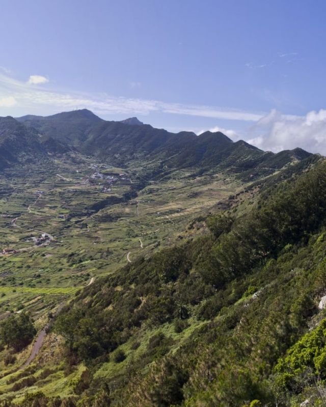 Sendero Callejonde Tenoelpalmar Teno Alto1 1