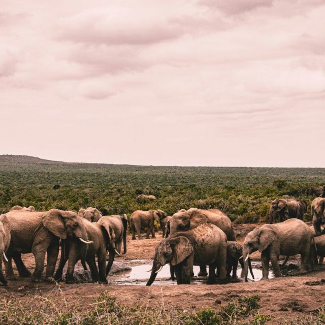 Kyle petzer 0 Qz9d4f4 YK8 unsplash