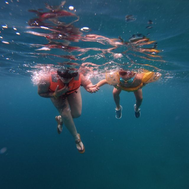 6 B9 B6 F3 D 5 A21 4 D44 8 B61 E75489 C721 C7