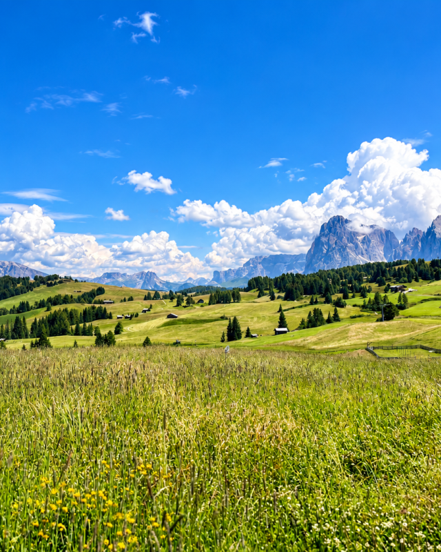 Alpenweide met Dolomietenpanorama