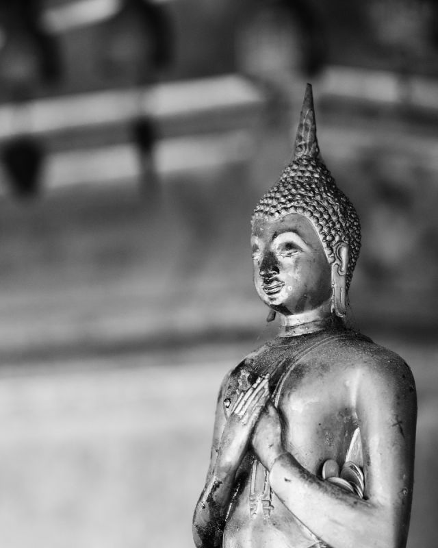 Omslagfoto Tom De Mesel