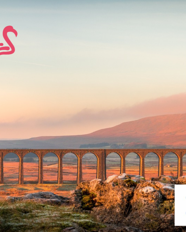 Design sans titre 24