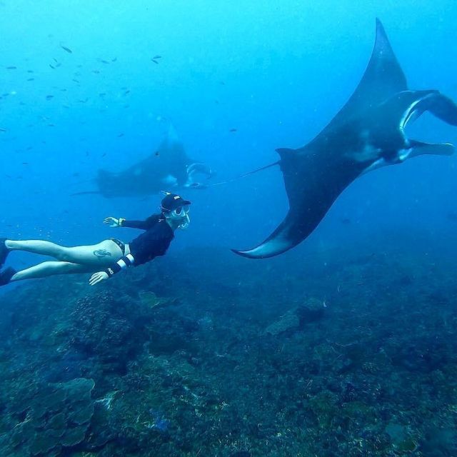 Manta bay nusa penida
