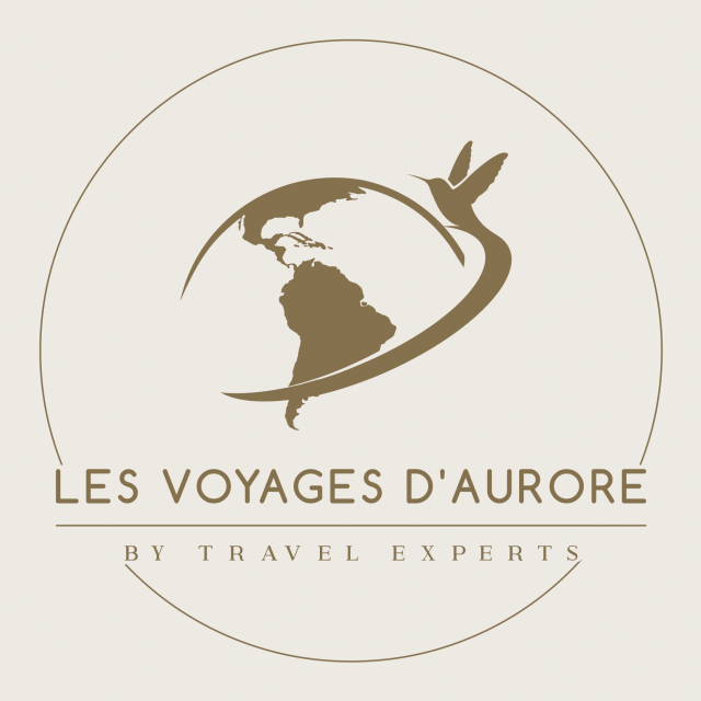 Color1 logo light background