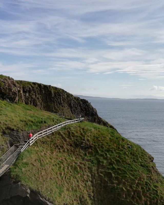 IMG 20190720 093844bbb