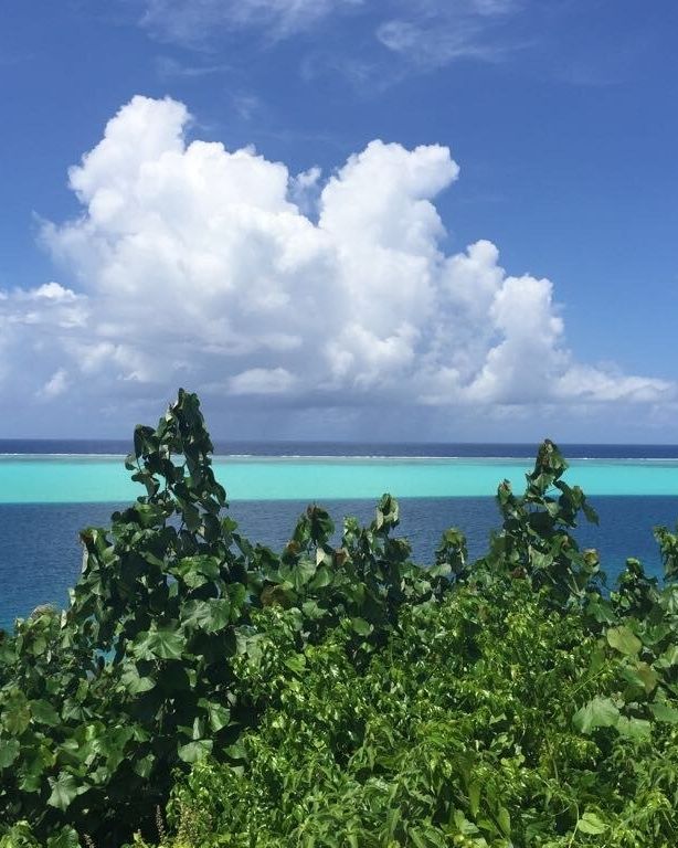 Thumbnail IMG 5204 1