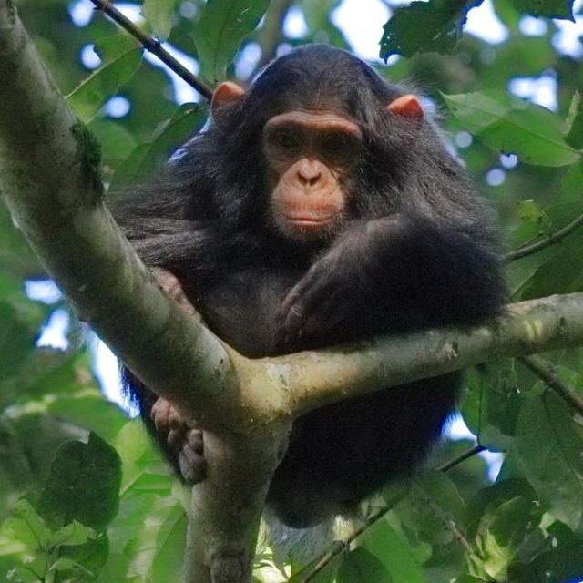 Fdc65225 a5b8 4605 8629 54dfa7e1e590